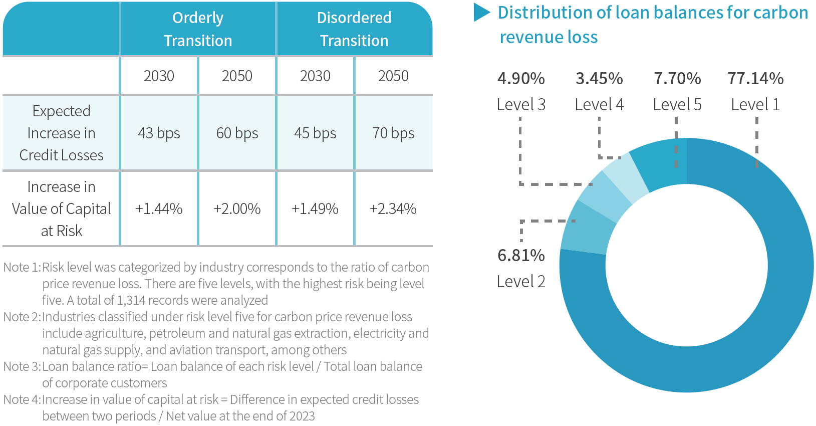 Transition Risk Analysis